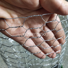 Galvanized Hexagonal Wire Mesh Chicken Wire Mesh